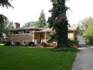 233 Watson
